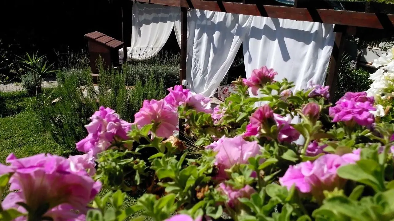 Ferienhaus Villa Casa Wilma Vacanze Tirrenia